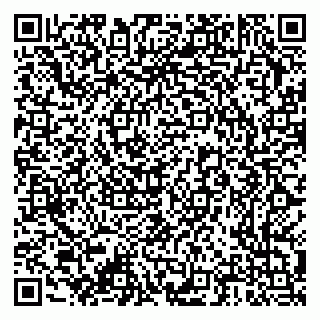 vCard 79376300317