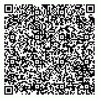 vCard 79376300321