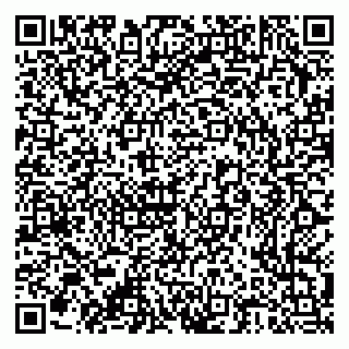 vCard 79376300329