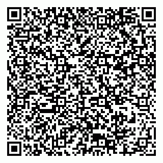 vCard 79376300370