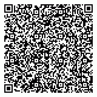 vCard 79376300381