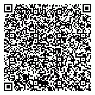 vCard 79376300385