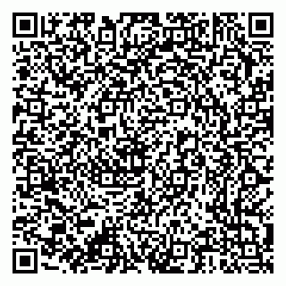 vCard 79376300397