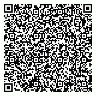vCard 79376336913