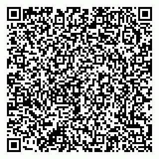 vCard 79376337088