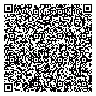vCard 79376337181