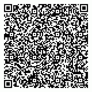vCard 79376340013