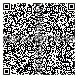 vCard 79376340065