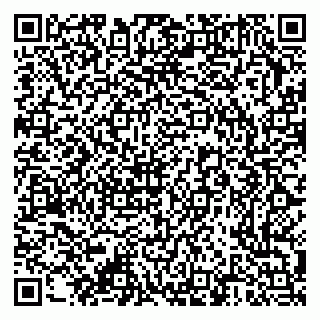 vCard 79376340138