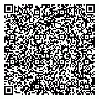 vCard 79376340153