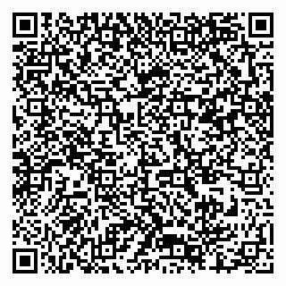 vCard 79376340204
