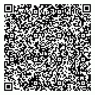 vCard 79376340209
