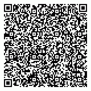 vCard 79376340217