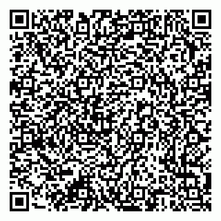 vCard 79376340221
