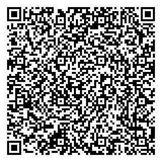 vCard 79376340288