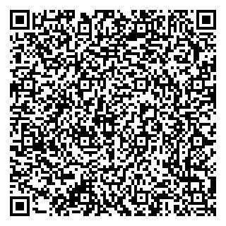 vCard 79376340289