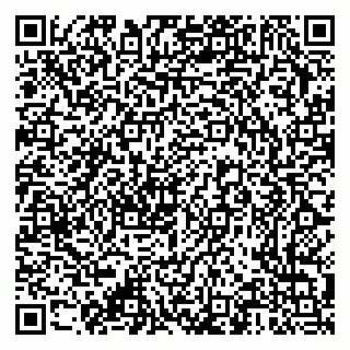 vCard 79376340297