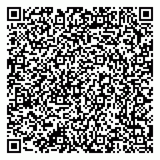 vCard 79376340298
