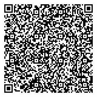 vCard 79376340299