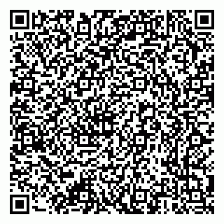 vCard 79376340313