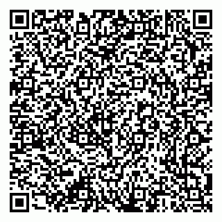 vCard 79376340318