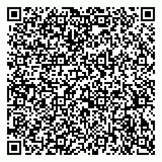 vCard 79376340324