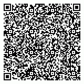 vCard 79376340331