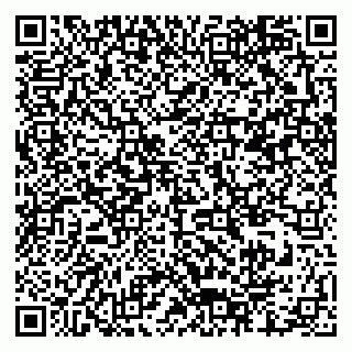 vCard 79376340352