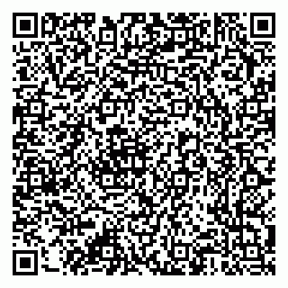 vCard 79376340383