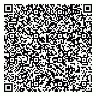 vCard 79376340389