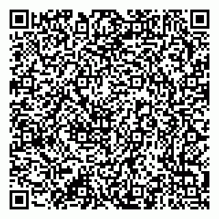 vCard 79376345297