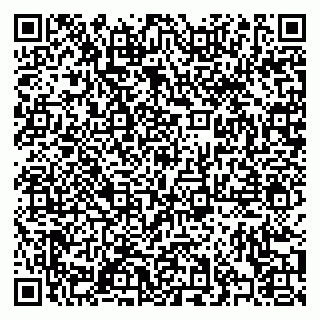 vCard 79376400281