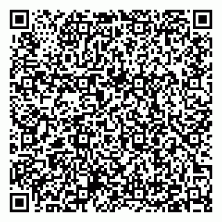 vCard 79376400303