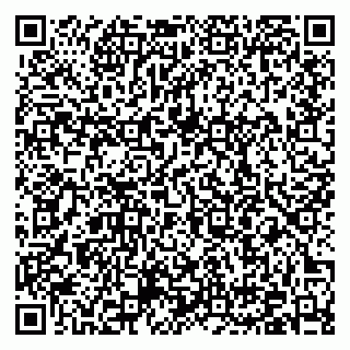 vCard 79376400311