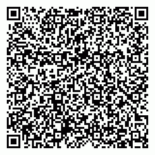 vCard 79376400313