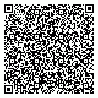 vCard 79376400317