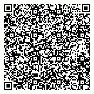 vCard 79376400318