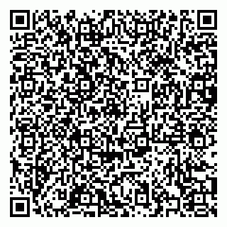 vCard 79376400333