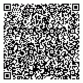 vCard 79376400335