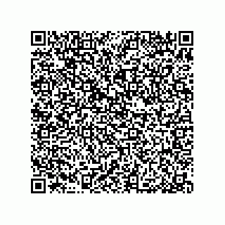 vCard 79376961280