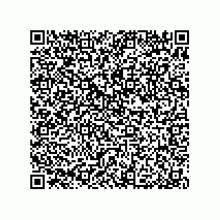 vCard 79376961297