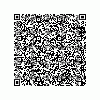 vCard 79376961332