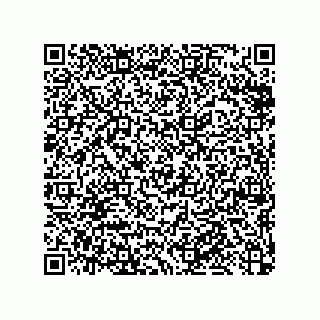 vCard 79376961333