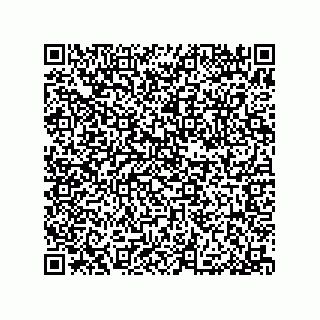 vCard 79376961381