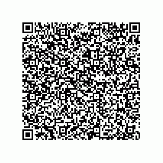 vCard 79376961387