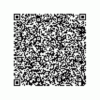 vCard 79376961394
