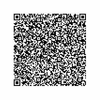 vCard 79376961472