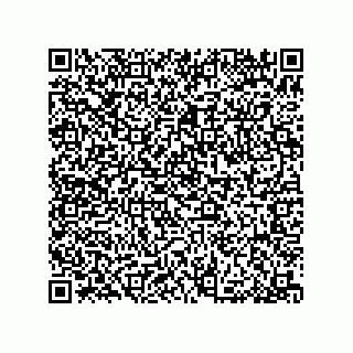 vCard 79376963281