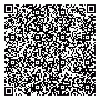 vCard 79377610381