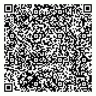 vCard 79377620003